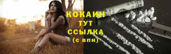 прущая мука Болотное