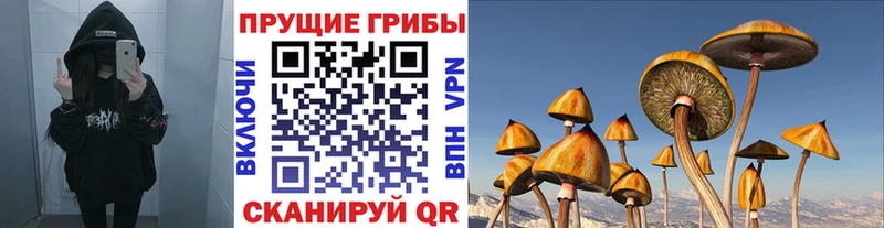 сколько стоит  Выкса  Галлюциногенные грибы Psilocybine cubensis 