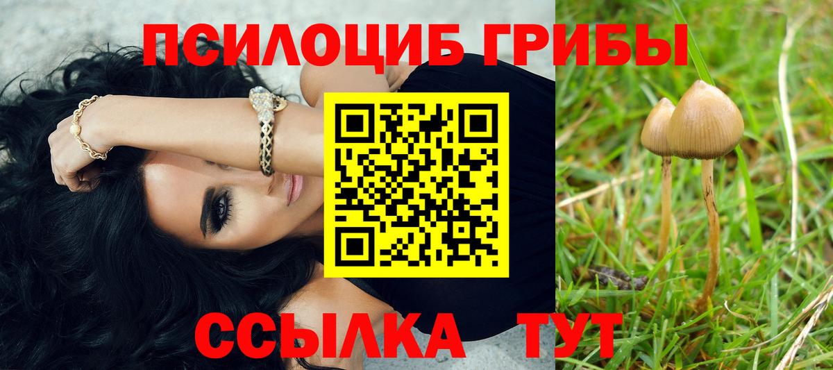 Галлюциногенные грибы GOLDEN TEACHER Выкса